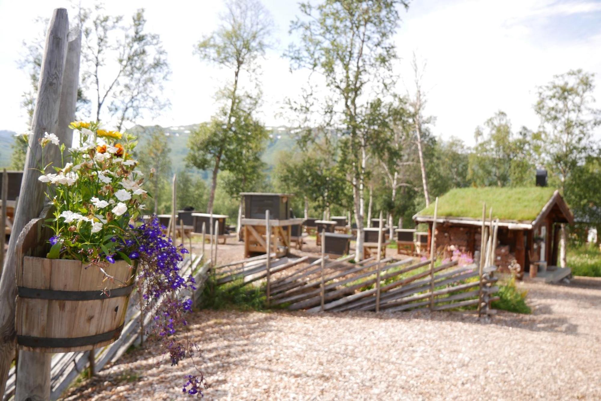 Bardu Huskylodge Exteriér fotografie