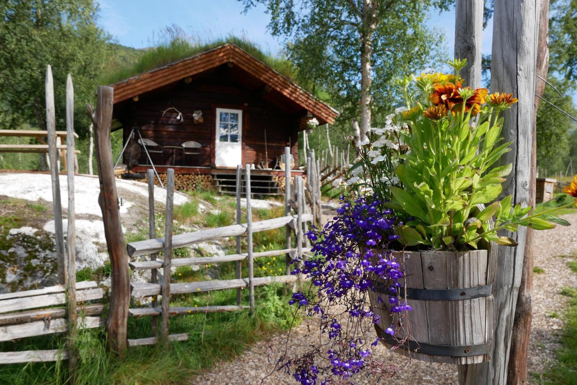 Bardu Huskylodge Exteriér fotografie