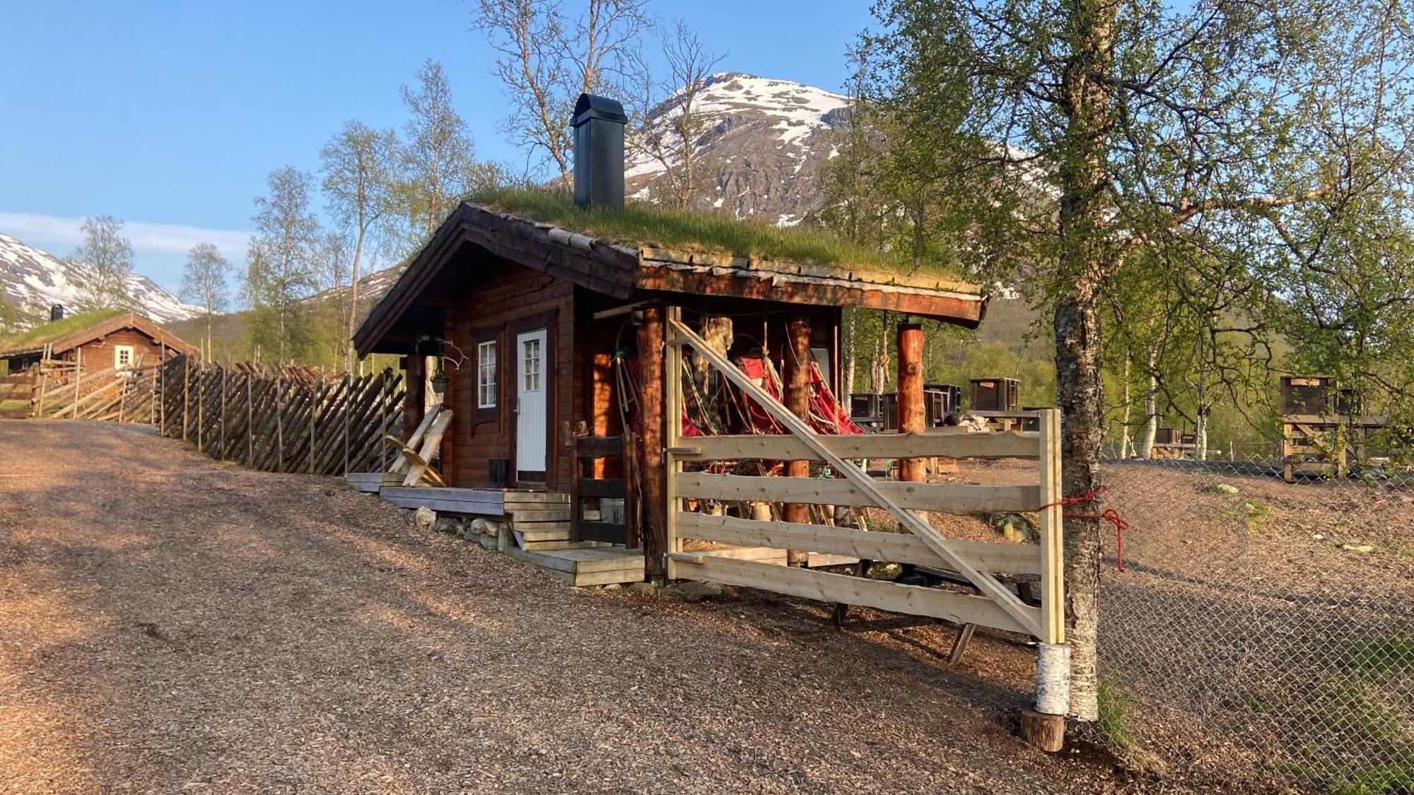 Bardu Huskylodge Exteriér fotografie