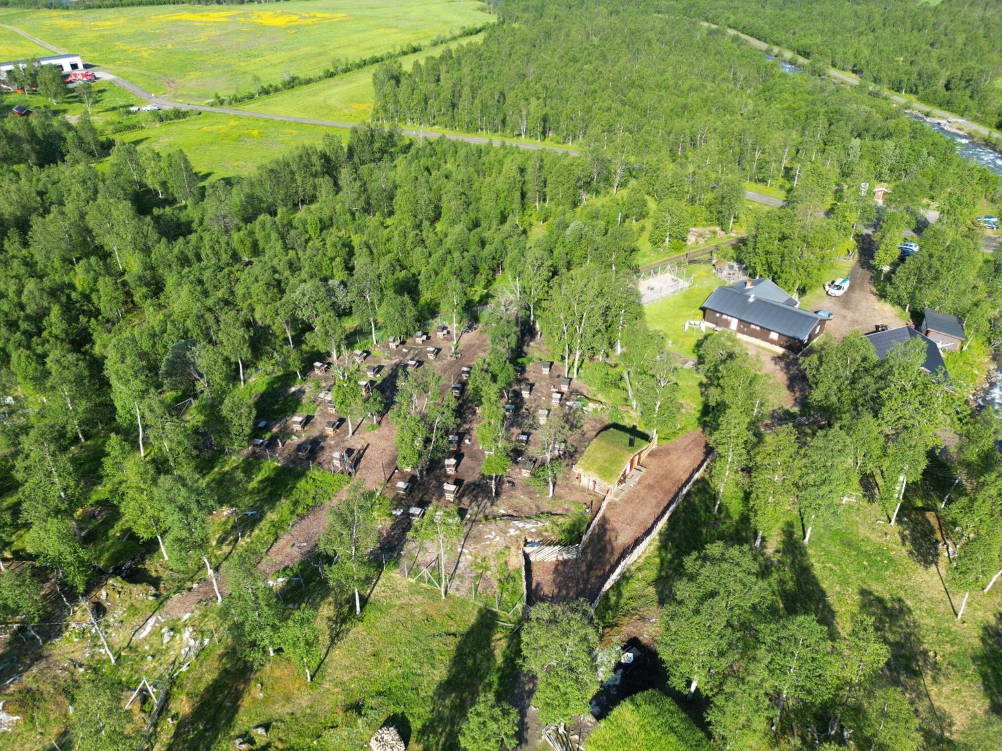 Bardu Huskylodge Exteriér fotografie