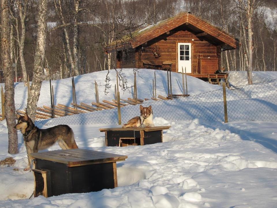 Bardu Huskylodge Exteriér fotografie
