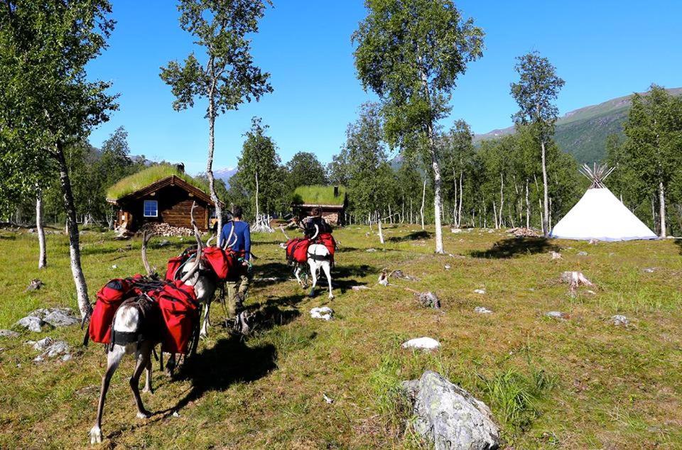Bardu Huskylodge Exteriér fotografie
