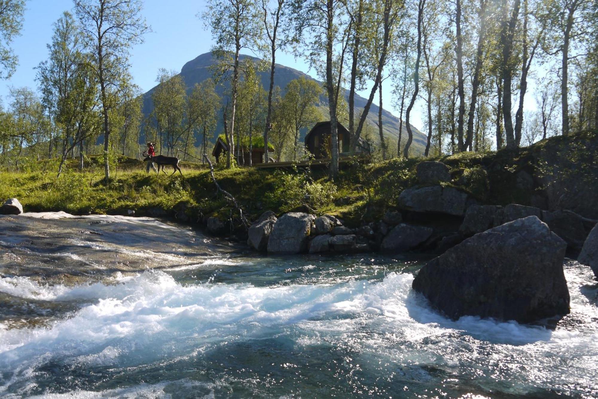 Bardu Huskylodge Exteriér fotografie